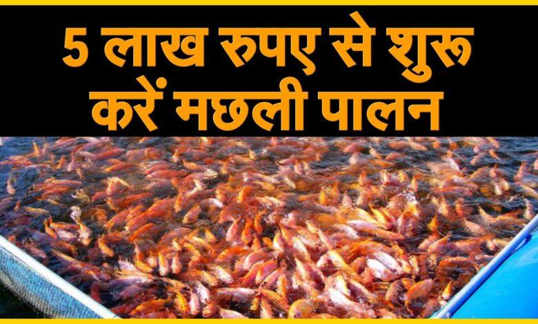 Fisheries Department Rajasthan