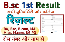 BSc 1st Result 2023 , Check BSc Result 2023 (MAIN)