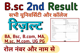 BSc 2nd Year Result 2023 Check BSc Result 2023 (MAIN)