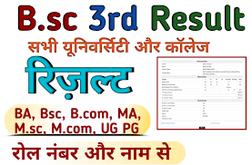 BSc Result 2023, BSc 3rd year Result Name Waise (MAIN)