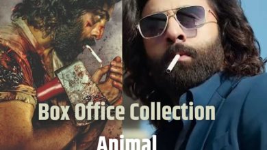 Animal Box Office Collection Day 13, बॉक्स ऑफिस पर आज इतने करोड़ की हुई कमाई