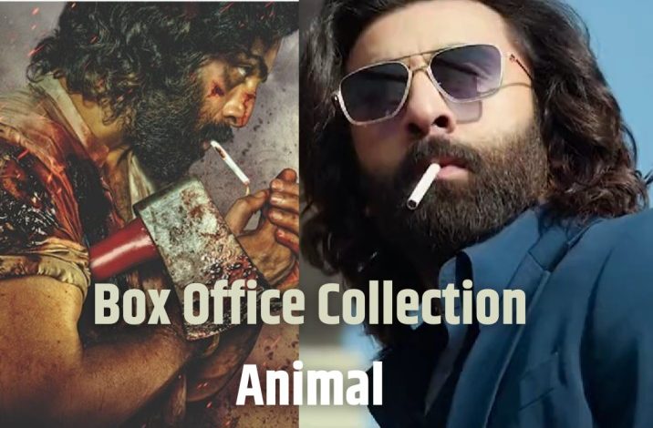 Animal Box Office Collection Day 13, बॉक्स ऑफिस पर आज इतने करोड़ की हुई कमाई