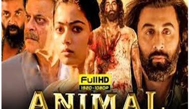 Animal-Movie-Download-720p, 480p - Sarkari-Yojana-Result