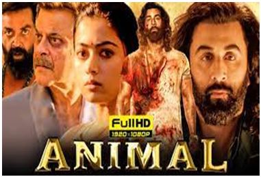 Animal-Movie-Download-720p, 480p - Sarkari-Yojana-Result