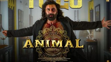 Animal Film: 'Animal' में अबरार को मारकर Ranbir Kapoor ने ऐसे मनाया था जश्न, फिल्म से हटा दिया गया था ये सीन