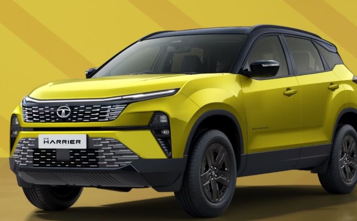 जी-जान लगाने के बाद भी Tata Motors को मिला झटका! इतनी घट गई Sales