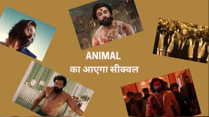 Animal Sequel: इंतकाम लेने फिर आएगा Animal , इस नाम से रिलीज होगा सीक्वल..मेकर्स ने ऐसे किया रिवील