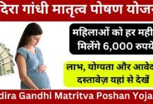 Indira-Gandhi-Matritva-Poshan-Yojana-2024-महिलाओं-को-हर-महीने-मिलेंगे-6,000-रुपये-यहां-से-जाने-पूरी-जानकारी